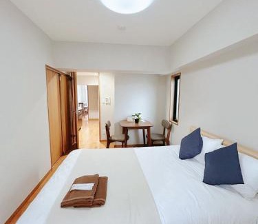 Nishiwaseda Apartment | 新宿区Shinjuku早稻田大学徒步3分钟 直达日本桥池袋新宿上野 2DK 两室 40平南北通透双阳台 带电梯