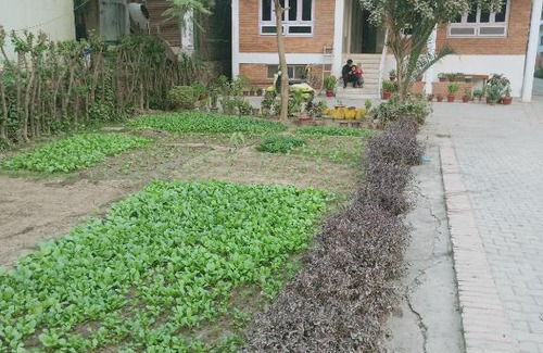 Lumbini House | 行者之家SUNFLOWER