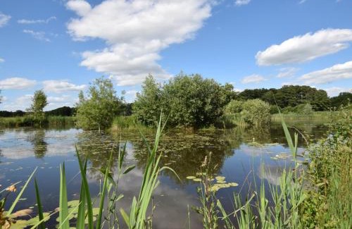 East Harling House | 1 Bed in Thetford 76493