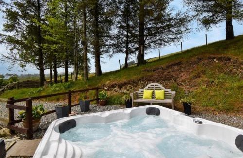 Cwmtirmynach House | 1 Bed in Ty Nant 79388