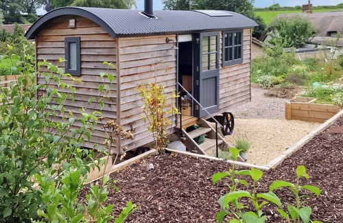 Chute Forest Cottage | 1 bedroom accommodation in Collingbourne Ducis, Marlborough