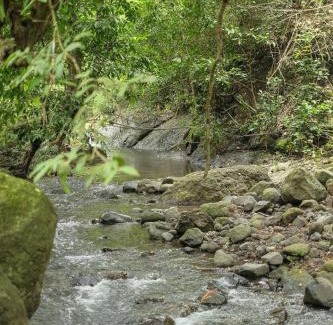 Gerokgak Villa | 1 Br Riverside Retreat Private Cabin in Nature