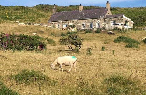 Mynytho House | 1 Bryn Tirion Uchaf
