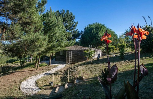 Alcobaca Cottage | 1. Rustic Rondavel with Wood-burner & Sauna – Long-stay Winter Retreat