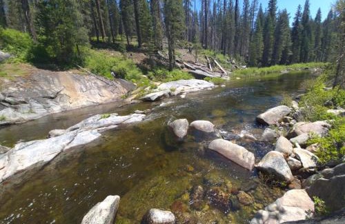 Oakhurst House | 10-acre Forest Villa, Single Floor, Hot tub, Patio