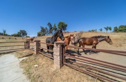 Temecula Apartment | 10 Acres Ranch w/ Horses, Pond, and more!