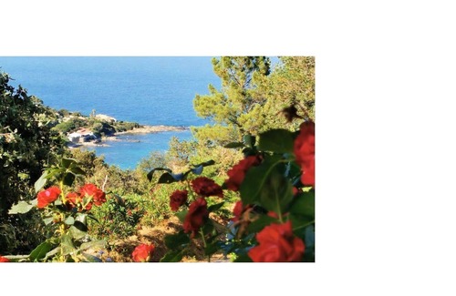 Tarcu House | 100% Happiness superb villa with sea view, near beach. Idyllic setting