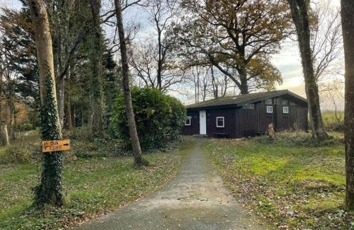 Cenarth House | 11 Tan-y-coed Woodland Lodge