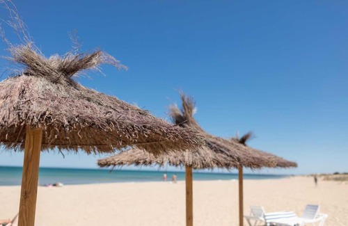 Los Arenales del Sol Apartment | 12-Apartamento en la playa Piscina