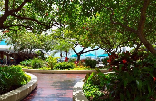 Waikiki Apartment | 1519 · Ilikai Collection # 9. Beachfront Resort, upgraded