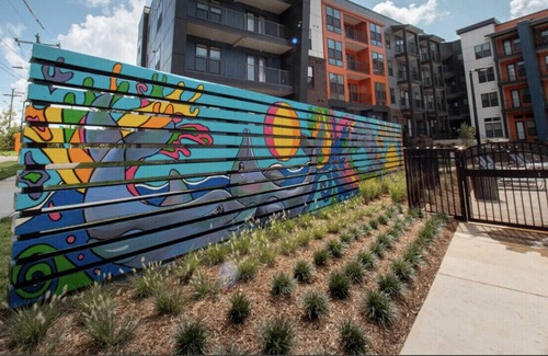 NoDa Apartment | 1Bdr unit Noda Free wifi & Parking is Gated