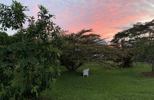 Keaau Apartment | 1st floor 2 bedroom/1 full bath unit on one acre family farm close to Hilo, HI.