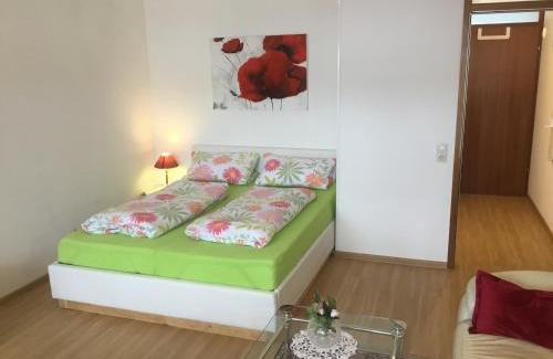 Schoenwald Apartment | 1Z.FeWo 236 barbo Schwimmbad,Sauna,Fitness