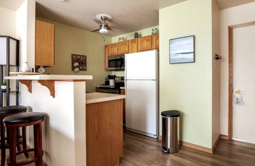 Downtown Kenosha House | 2/2.5 Lake Michigan Beachfront Pet Play Game Room