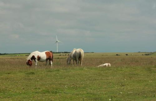 Davidstow Villa | 2-Bed Cottage Sleeps 5 Pets Ok Close to Coast