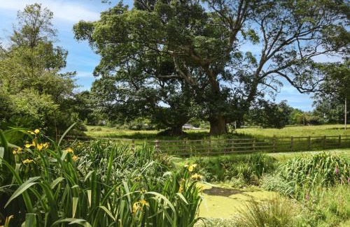 Launceston House | 2 Bed in South Petherwin 85894