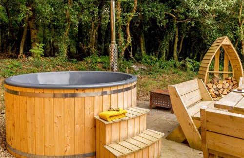 Widemouth Bay House | 2 Bed in Widemouth Bay 87766