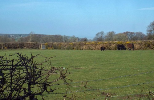 Dihewid Cottage | 2 bedroom accommodation in Dihewyd, near Aberaeron