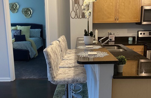 Atlanta University Center Apartment | 2 Bedrooms 2 Bath Downtown Condo