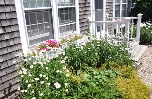 Nantucket Town Cottage | 2 Bedrooms + Loft - sleeps 6 in beds but max 4 adults- 5 Blocks to Town
