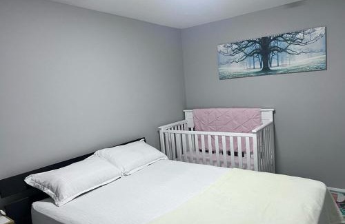 Northwest Calgary Apartment | 2 Beds 1Bath Suite Basement
