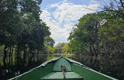 Iranduba Other | 2 dias e 1 noite no Curupira Amazon lodge