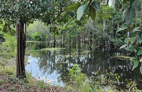 Iranduba Other | 2 dias e 1 noite no Curupira Amazon lodge