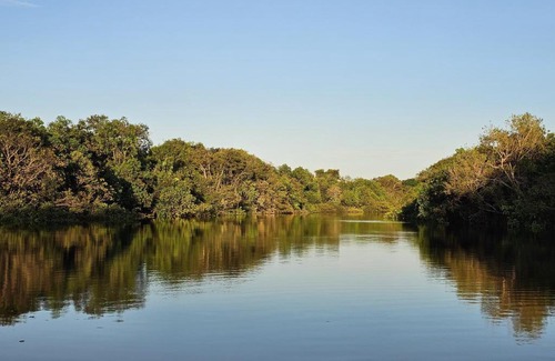 Iranduba Other | 2 dias e 1 noite no Curupira Amazon lodge