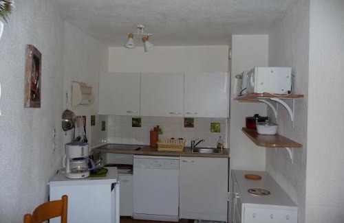 Prapoutel Apartment | 2 pièces aux Adrets, au pied des pistes, animaux admis - FR-1-771-36