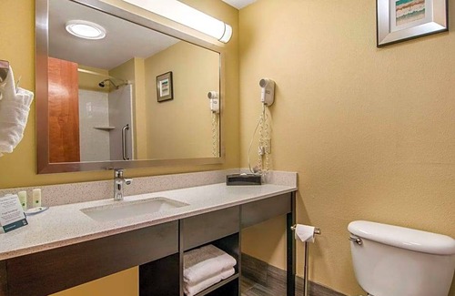 Albany Hotel | 2-Star Hotel ∙ Quality Inn & Suites