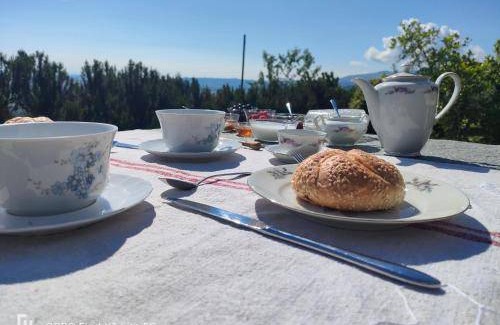Envie Bed & Breakfast | 20 m² Bed and breakfast ∙ 2 guests