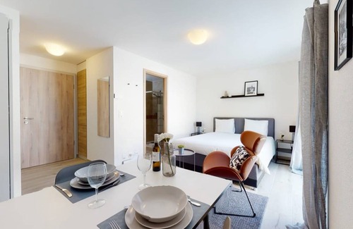 Aigle Apartment | 20 m² Studio flat ∙ 1 bedroom ∙ 2 guests
