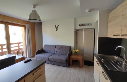 Les Claux Apartment | 200m from shops, 1st floor, swimming pool, balcony, parking, tv, ski locker, 50m², Vars