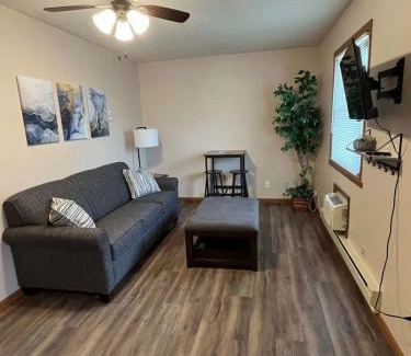 Tomah Apartment | 201 E Veterans Street Apt B