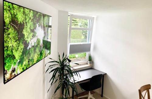 Bielefeld Apartment | 21qm² Business Apartment