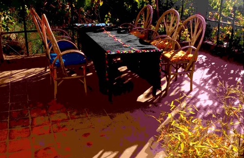 Agouti Resort | 22 m² Private room ∙ 1 bedroom ∙ 1 guest