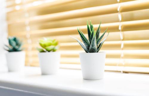 Sunderland Apartment | 2Bed Garden & Private Parking Near A19 - Perfect for Contractors