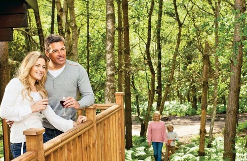 Edwinstowe Cabin | 3 bedroom accommodation in Sherwood Forest, Rufford