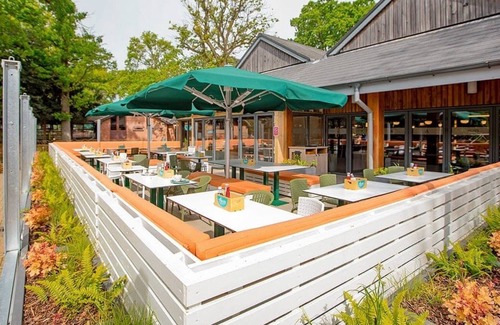 New Forest District House | 3 bedroom accommodation in Godshill, Fordingbridge