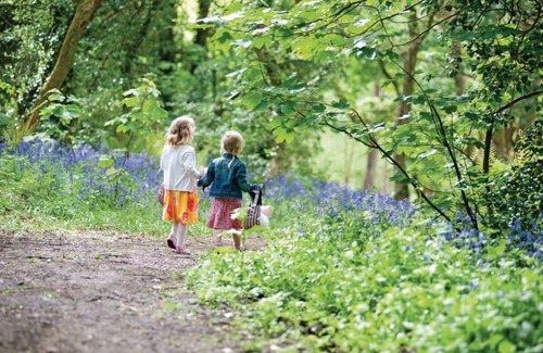 Lelant Cabin | 3 bedroom accommodation in Lelant, St Ives