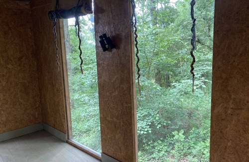 Longhope Cabin | 3 Guests - Pet Friendly - Grid Tree-House