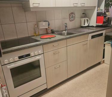Birsfelden Apartment | 3 und halb zimmer Wohnung Birsfelden