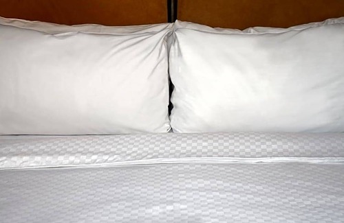 Northeast Virginia Beach Hotel | 3-Star Hotel ∙ Four Points by Sheraton Virginia Beach Oceanfront
