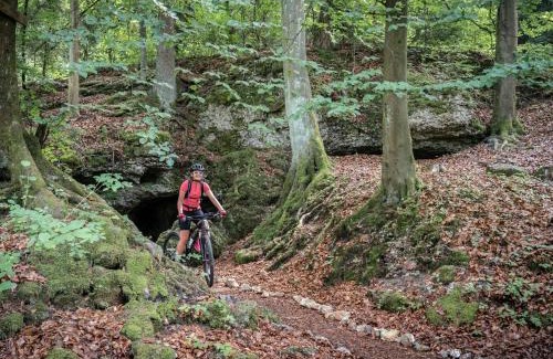 Mistelgau House | 3-Zi App I Fränkische Schweiz, Miselgau-Obernsees