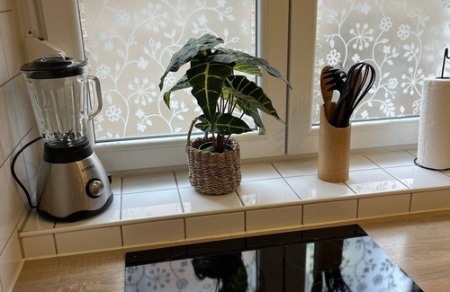 Heslach Apartment | 300 MBit WLAN | directly at Marienplatz | first floor | subway