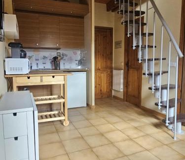 Pla de l'Ermita Apartment | 316 - Dúplex Pla de L'Ermita Boí Taüll