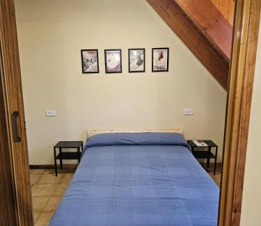 Pla de l'Ermita Apartment | 316 - Dúplex Pla de L'Ermita Boí Taüll