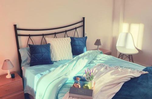 Logrono Historic Centre Apartment | 350mLaurel.Calefacción.Parking público.Centro.Wifi
