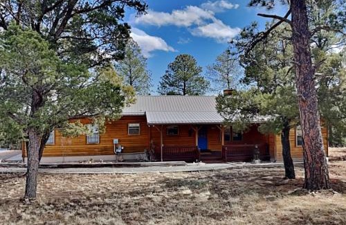 Alto House | 4 Bears 1 Cave