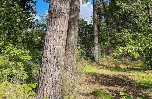 Listarum House | 4 person holiday home in SMEDSTORP